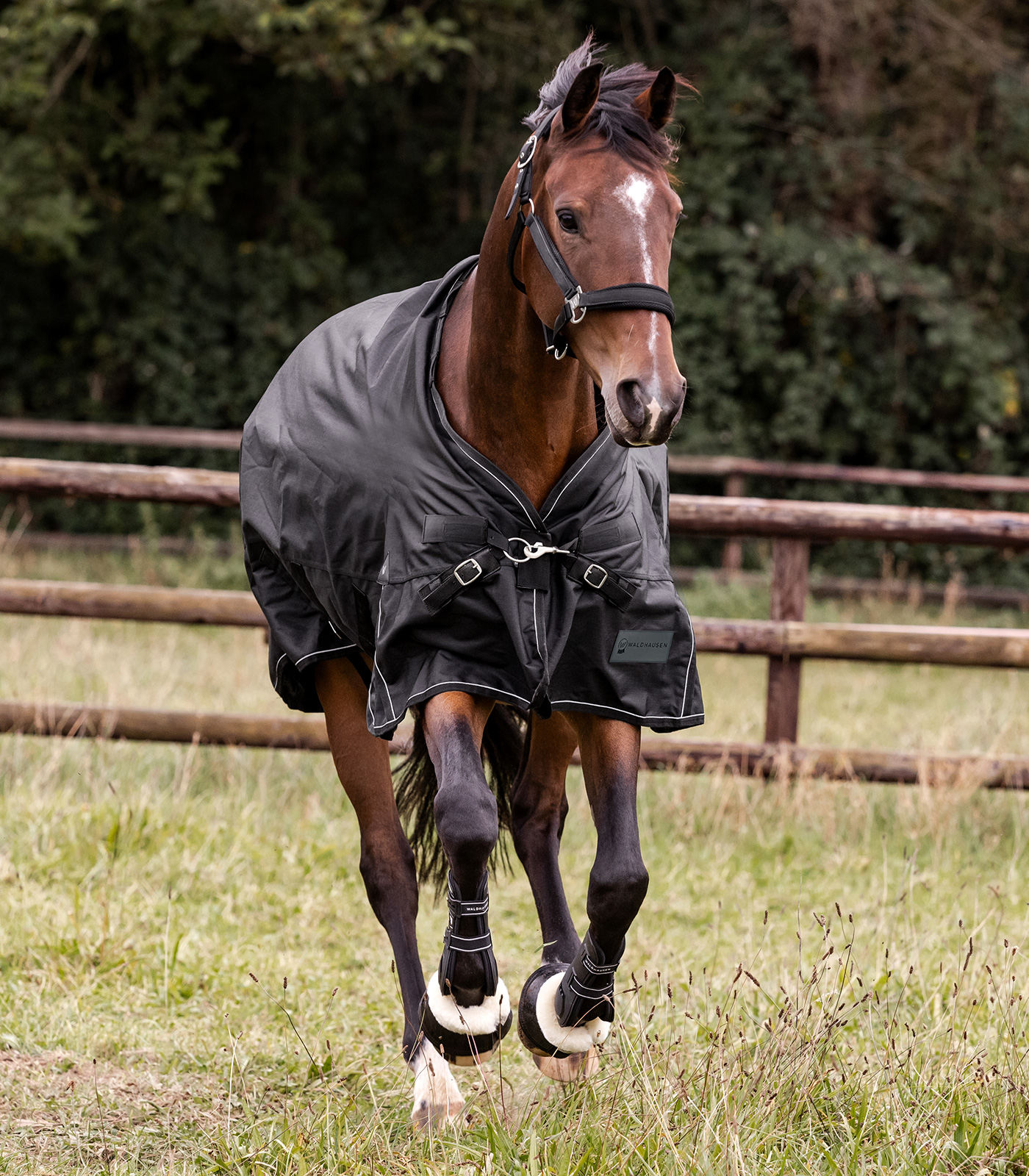 SCANDIC multi-layer turnout rug, 250 g / 100 g