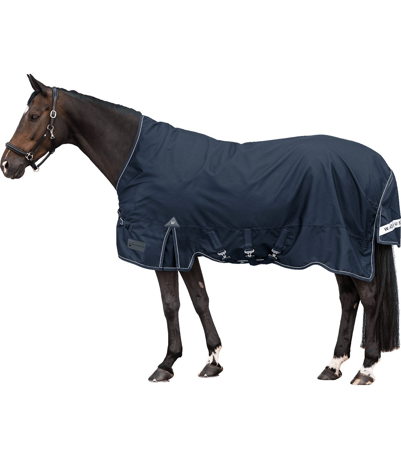 Výběhová deka Waldhausen Scandic High Neck 100 g
