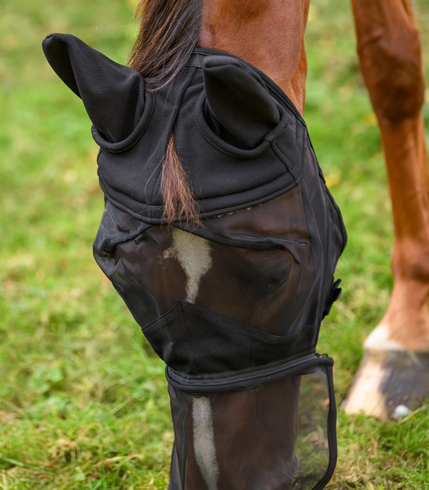 Maschera antimosche PREMIUM 3 in 1 Maschera antimosche PREMIUM 3 in 1