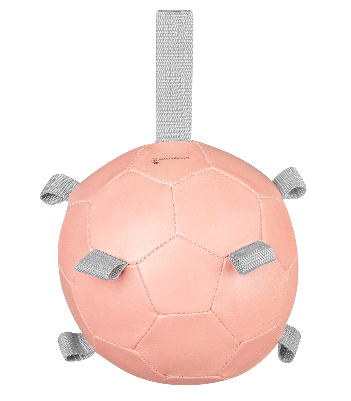 Karottenball linnea pink