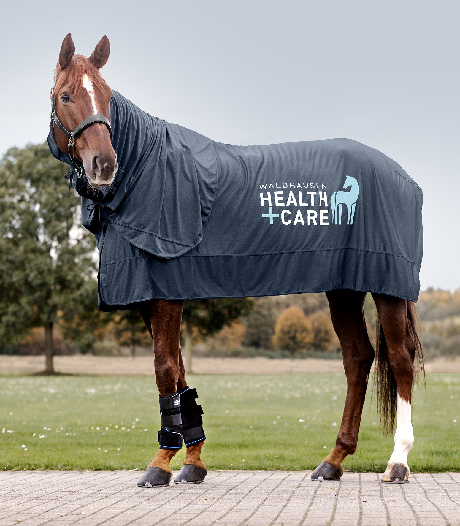 Waldhausen Health + Care Ice Layer Decke