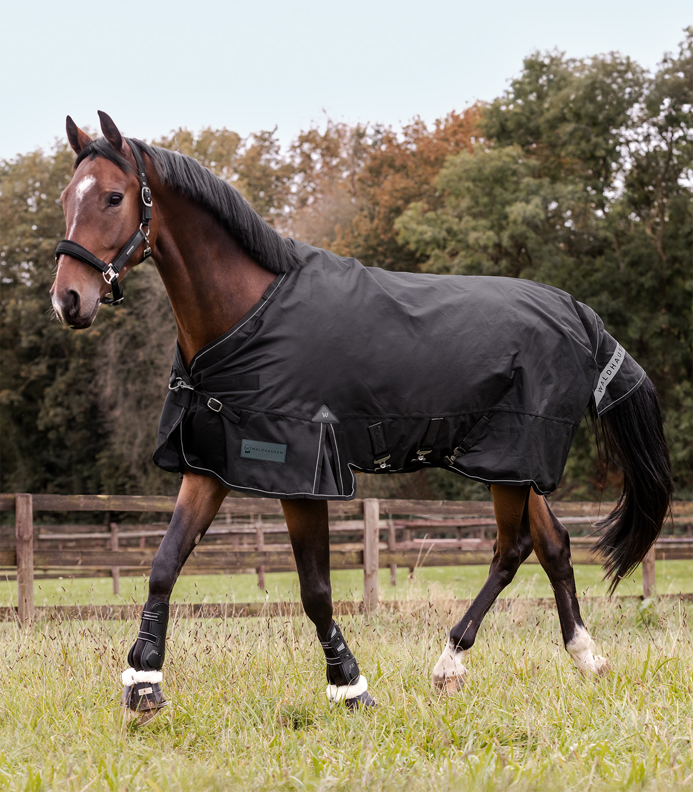 SCANDIC multi-layer turnout rug, 250 g / 100 g