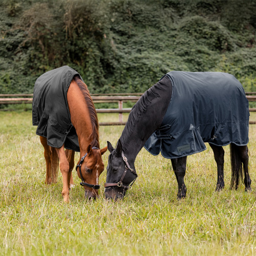 Alles rund um Pferdedecken