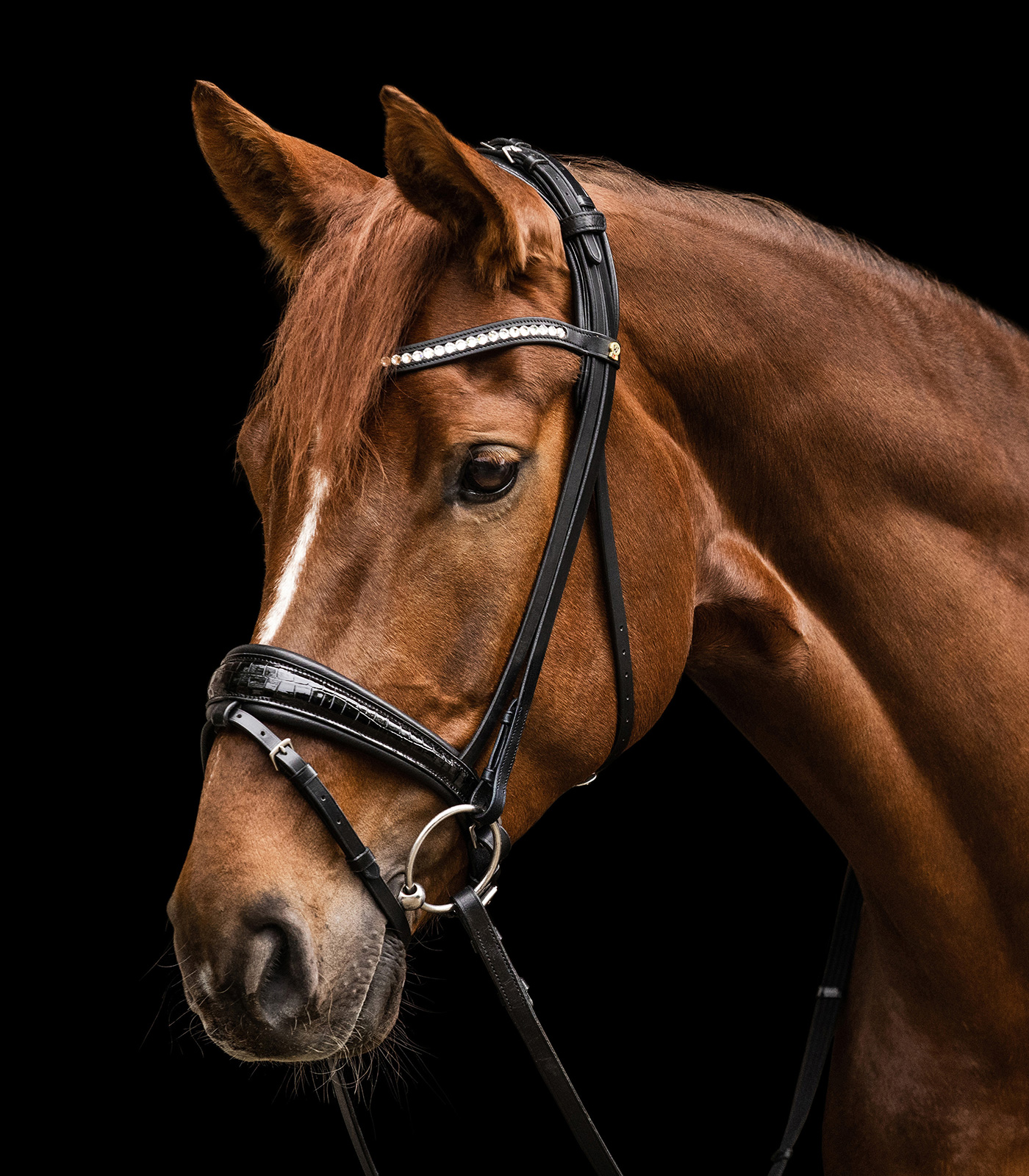 Waldhausen S-Line Bridle Magic