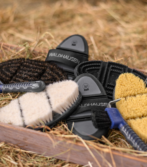 Image alternate text