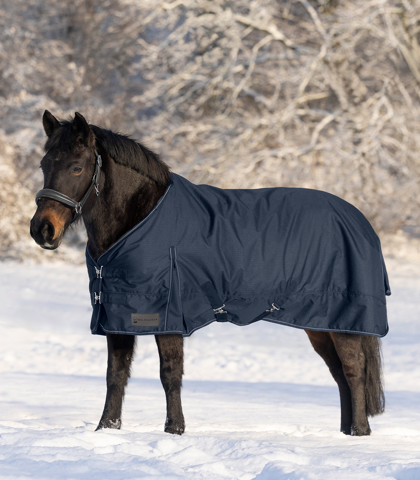 Couverture Extérieure Pour Cheval Smartex Medium 125 - Imperméable, Coupe-vent, Respirante - Plage -10°C à +12°C - 6