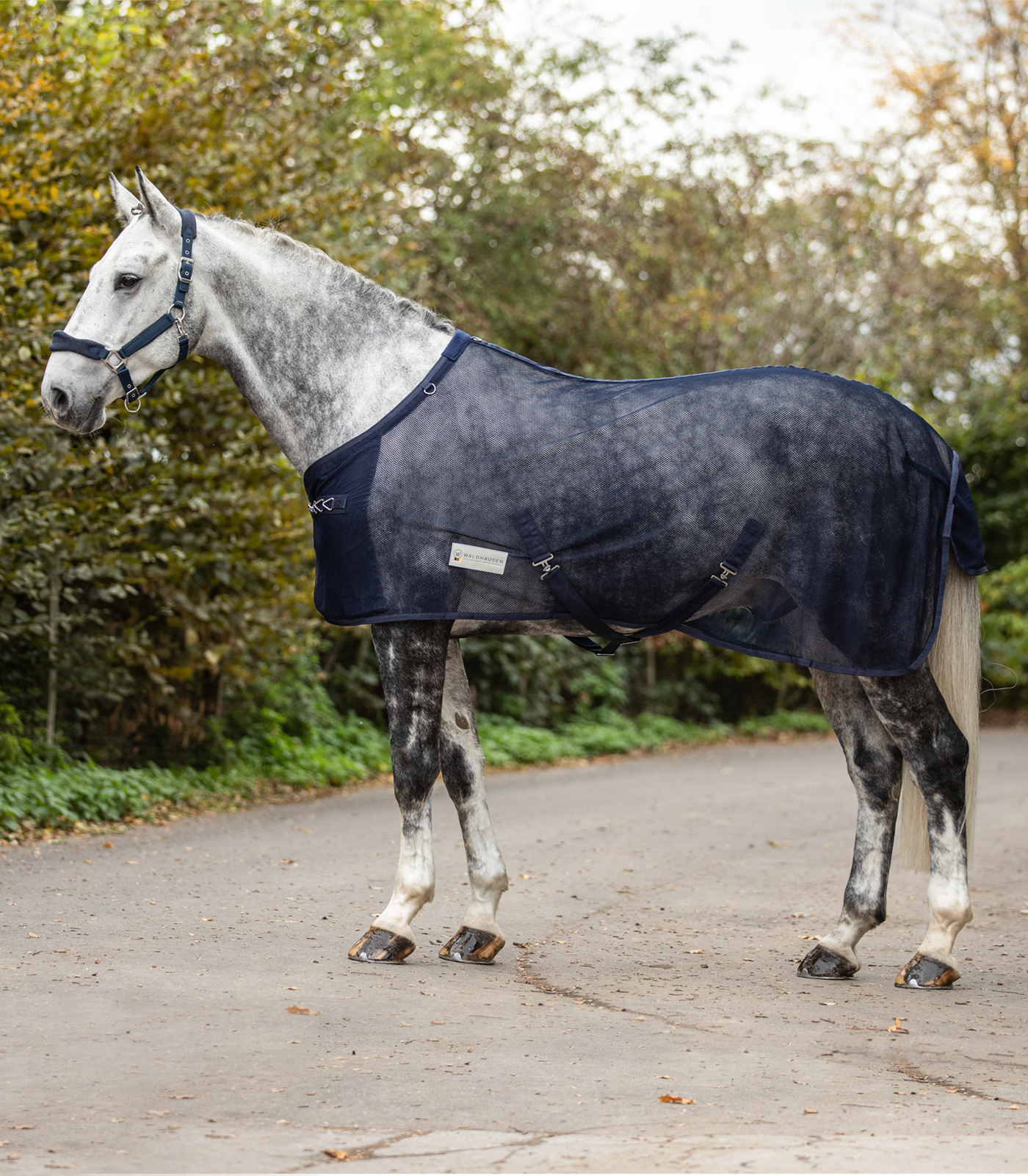 COMFORT Fly Rug with crossover straps night blue