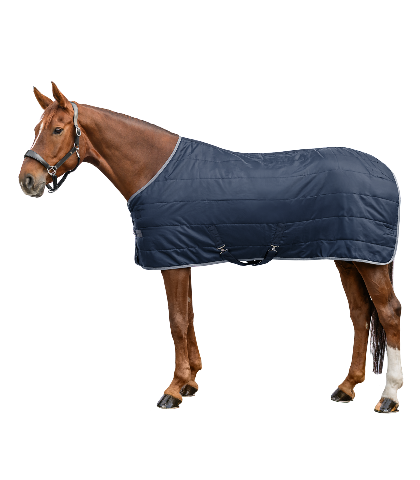 ECONOMIC Stalldecke, 300g nachtblau