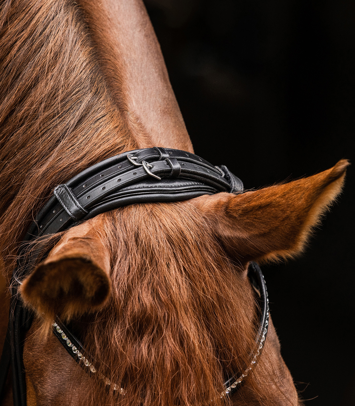 Waldhausen S-Line Bridle Magic