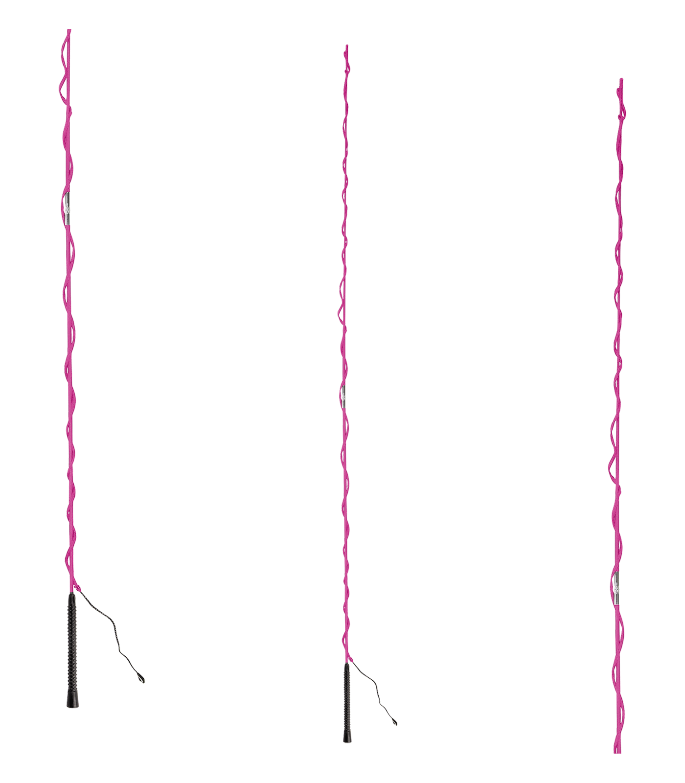 Frusta da addestramento, smontabile, senza anello