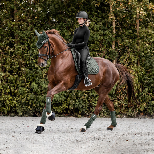 Autumn/ Winter Horsefashion