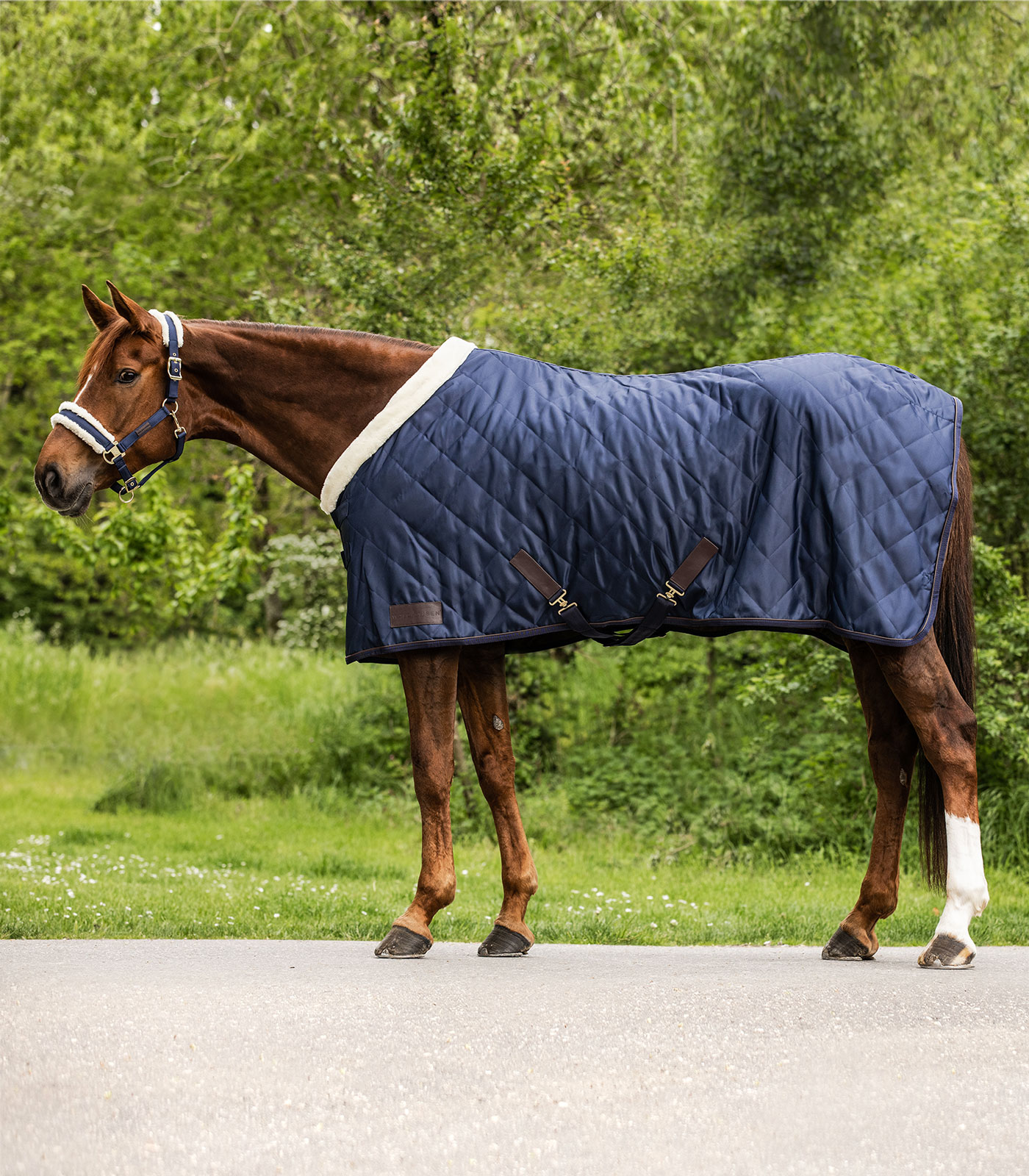 Exclusive Travel Rug night blue