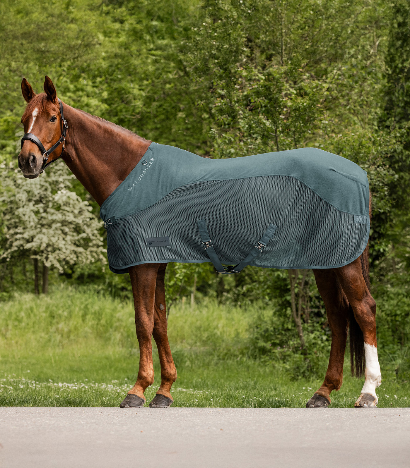COMFORT Fleece fly rug pine green