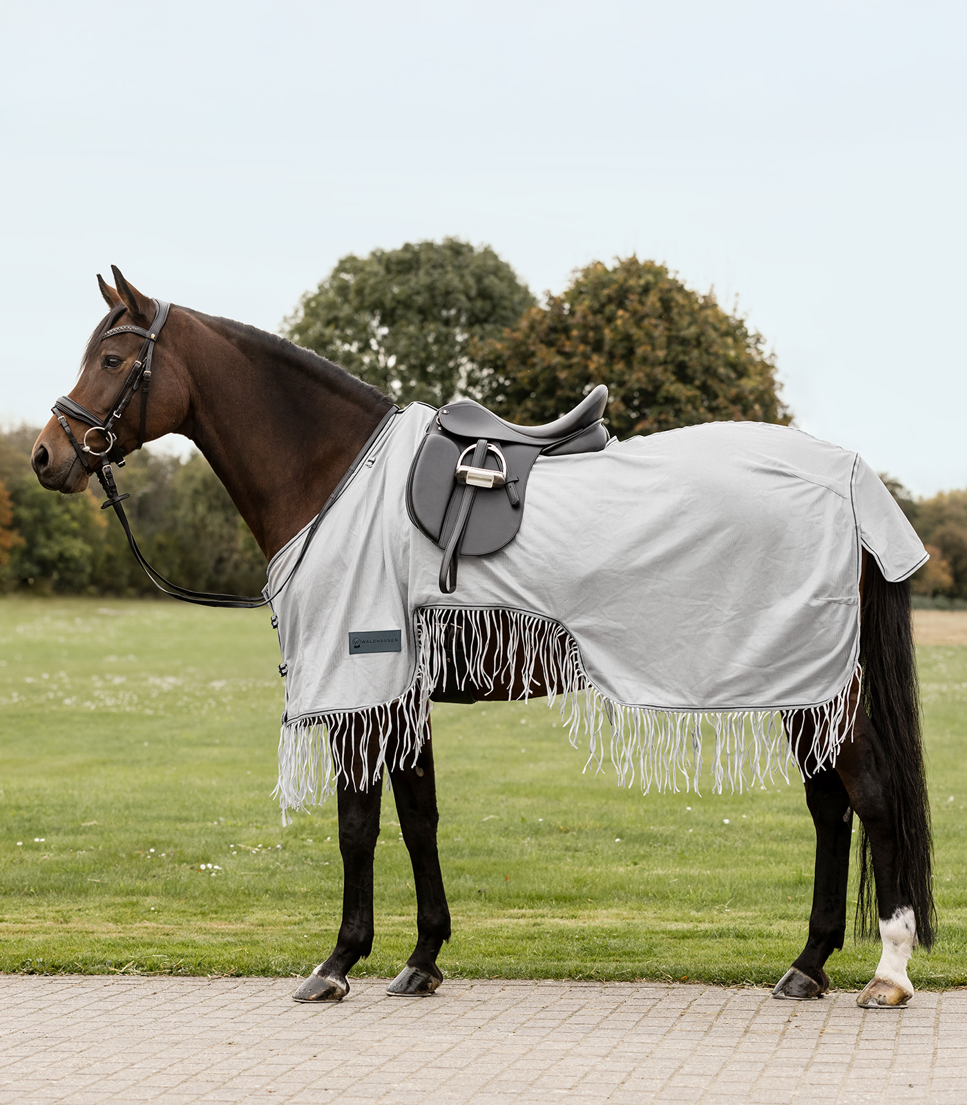 PROTECT Fly exercise rug with fringes | silver-grey/grey | 155 cm ...