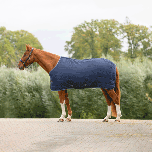 Warmth in the Stable