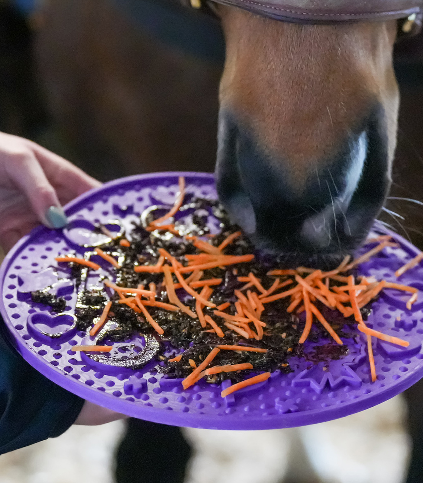 Pasta Likit per Graze Maze