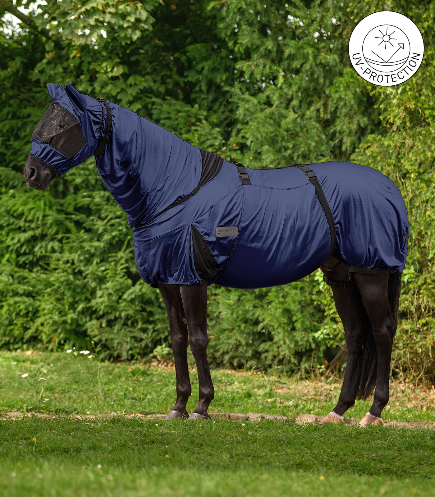 Premium eczema blanket night blue