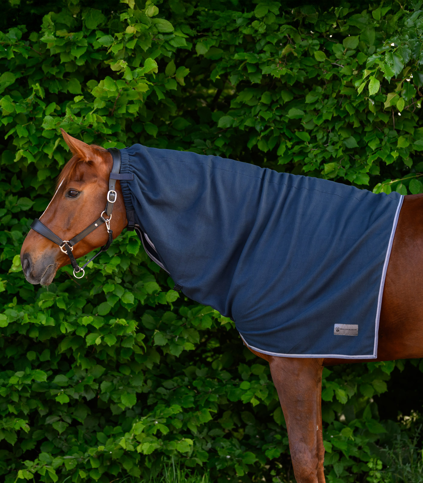 ECONOMIC Fleece-Halsdecke nachtblau