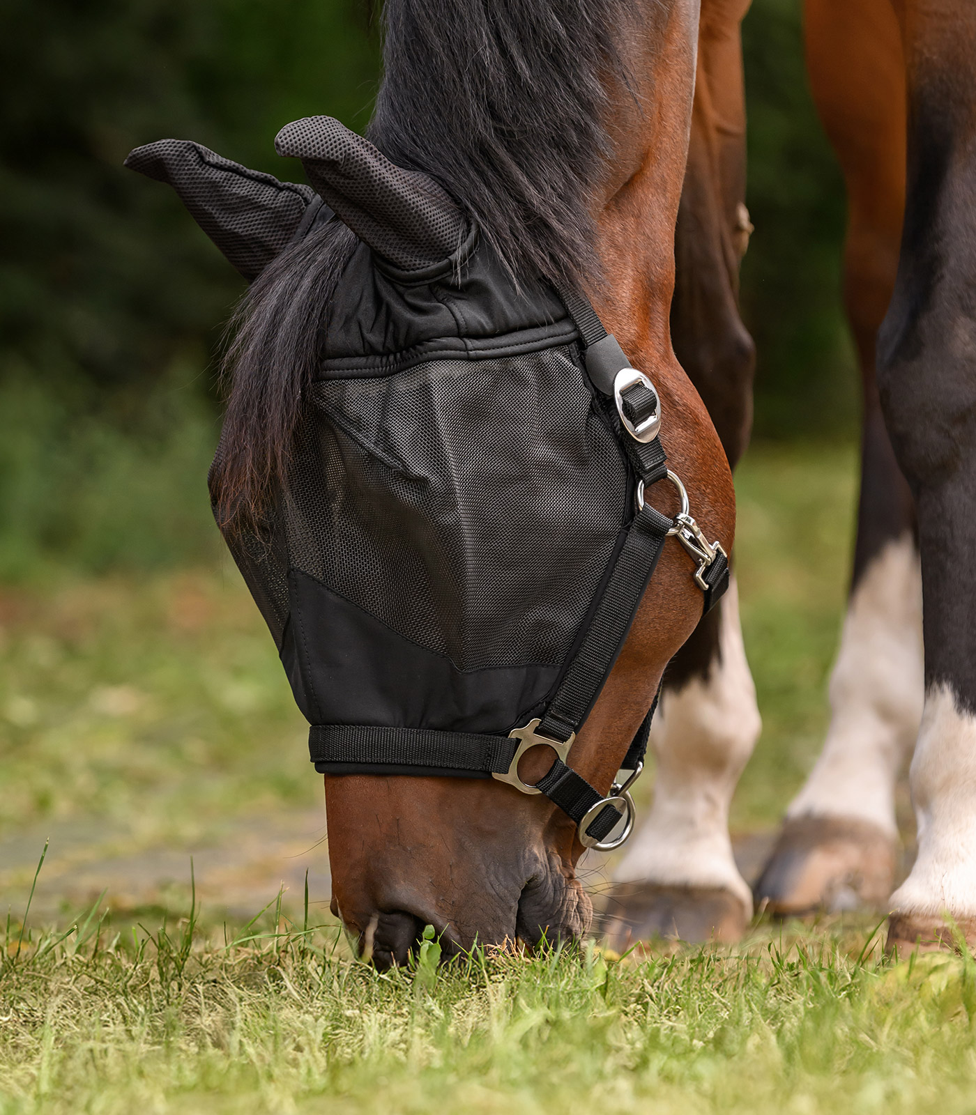 PREMIUM Fly mask with Halter