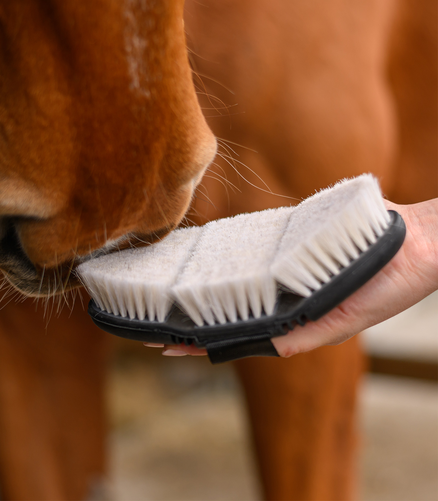 Brosse à lustrer Flex