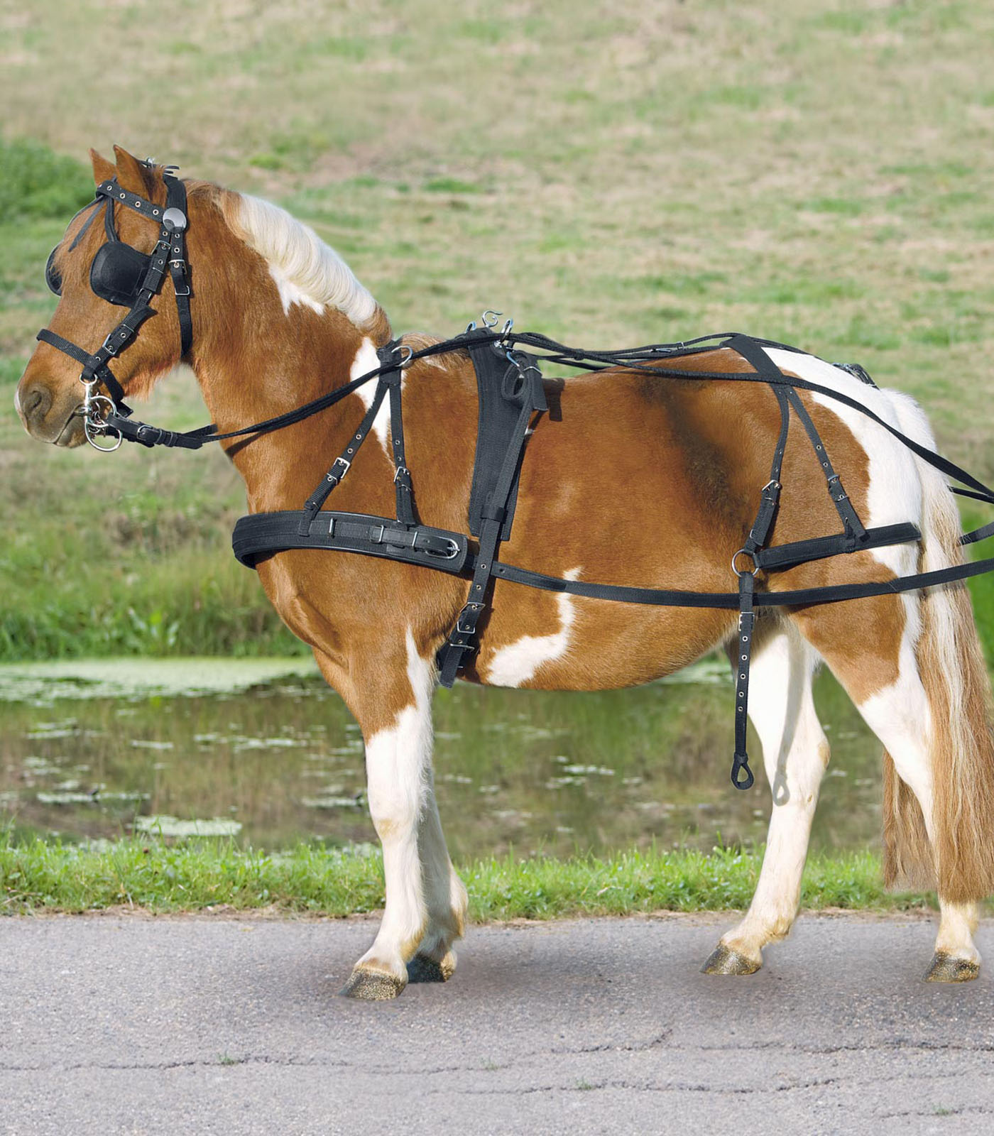STAR Synthetic Breastplate Single Harness, Pony and Shetty