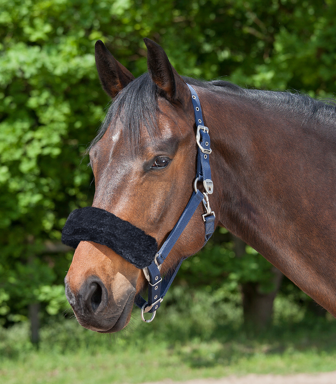 Nose or poll guard black