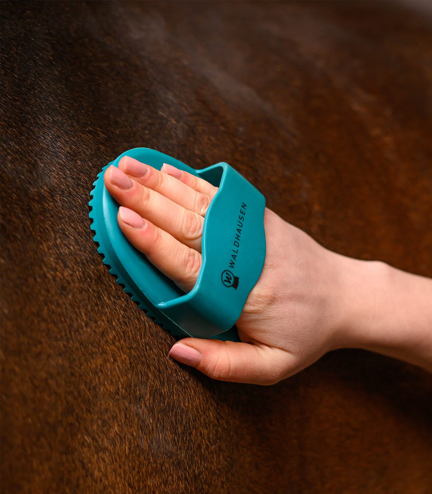 Striegel Rainbow petrolblau