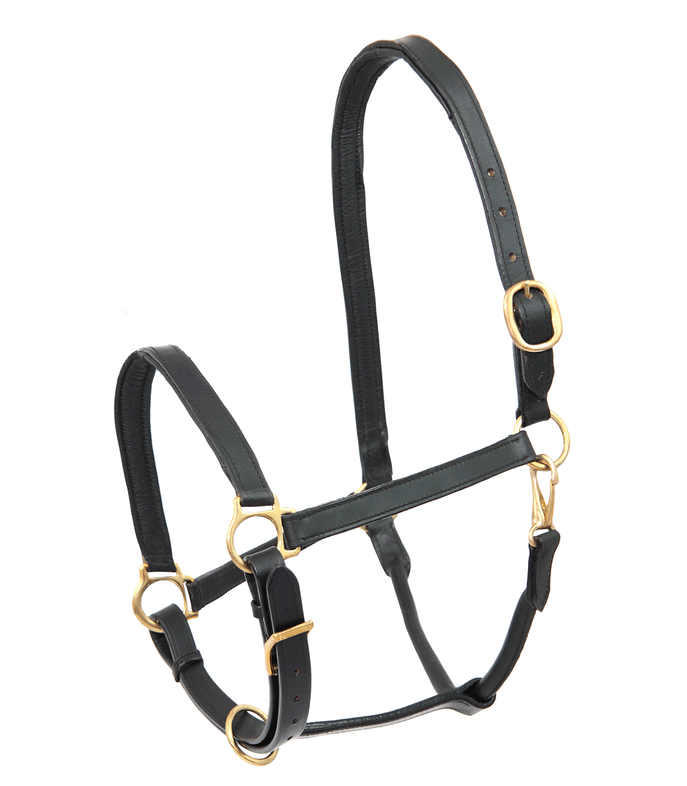 STAR Leather Halter Robust