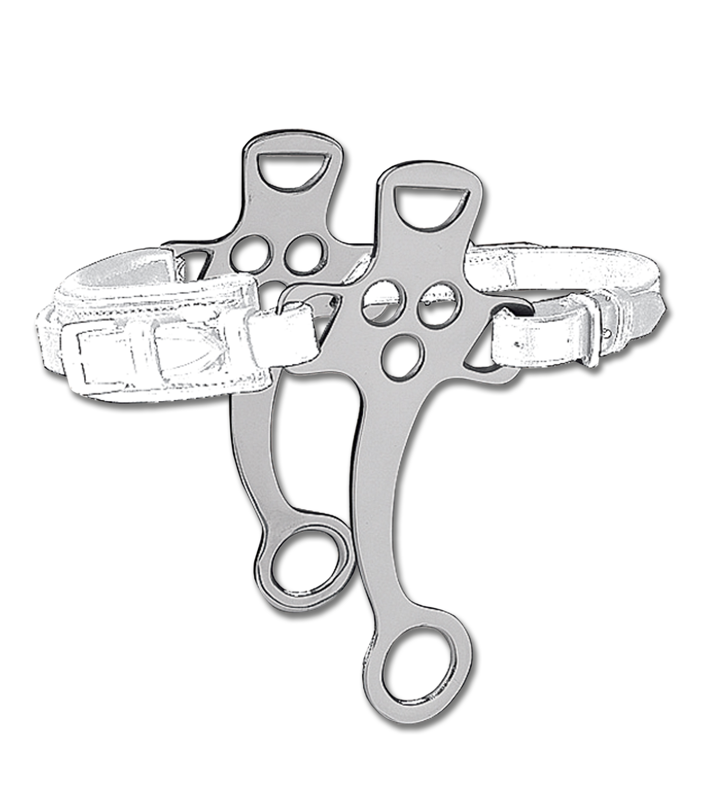 Branches pour Hackamore, une , La paire