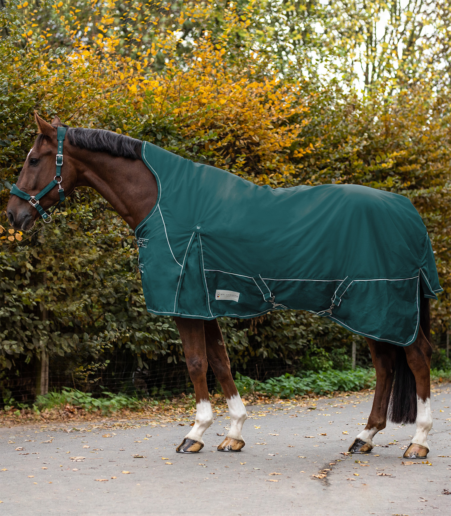 COMFORT Turnout Rug, 200 g, high neck fir green