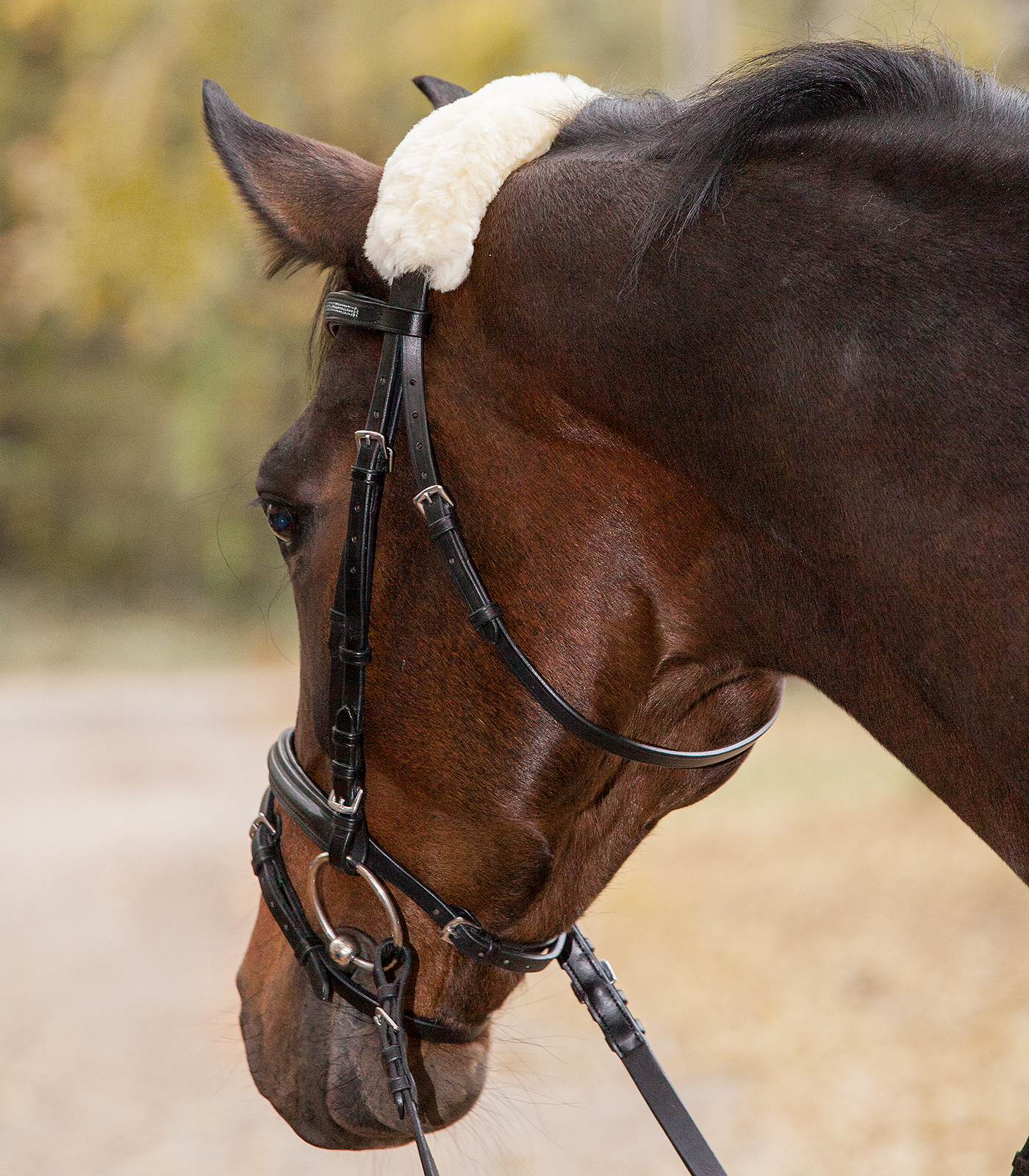 Real Lambskin Noseband - or Headpiece-Cushioning