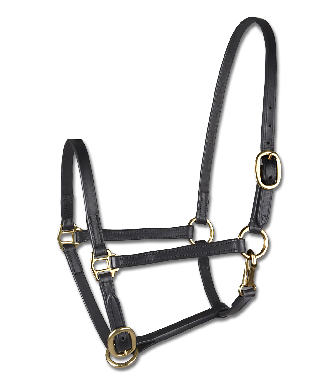 STAR foal show halter, leather black