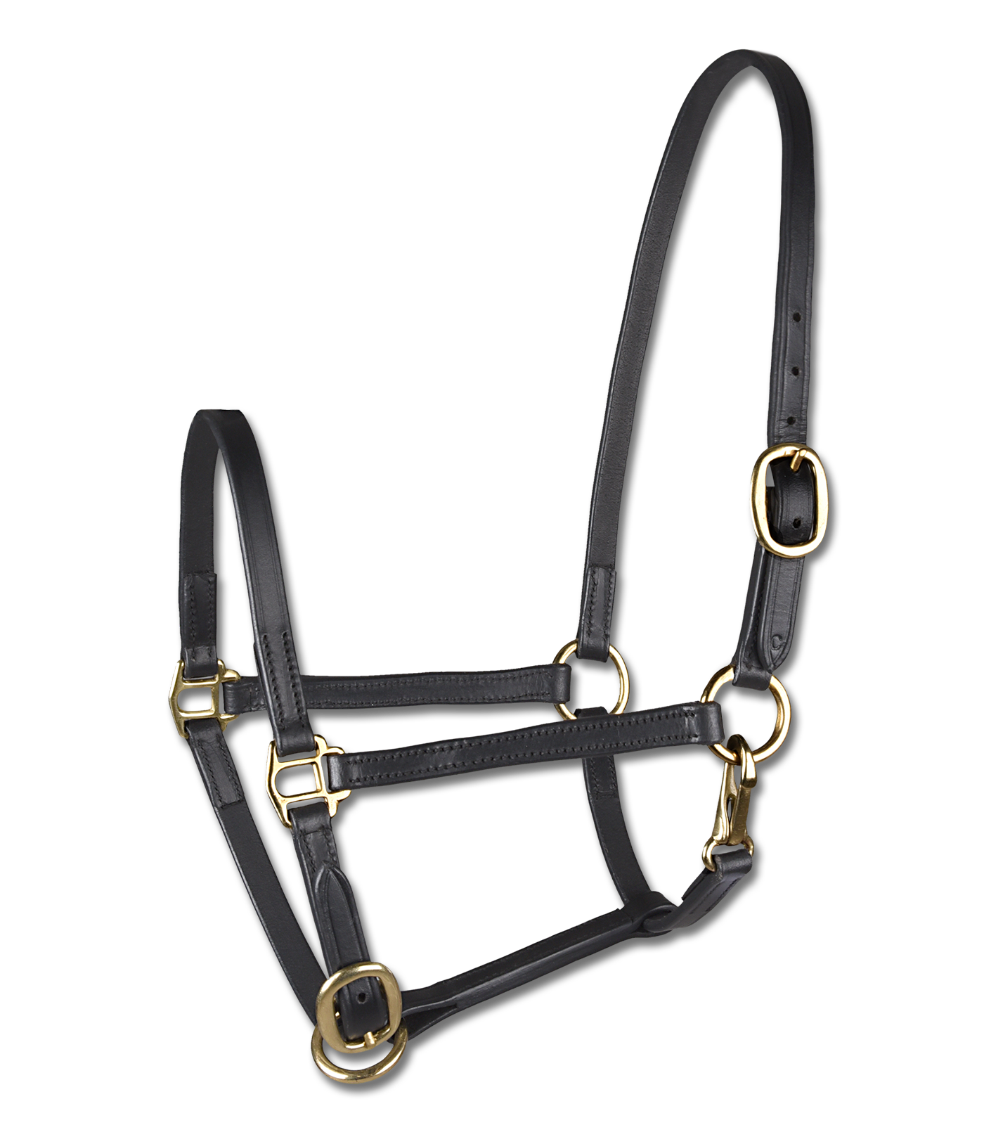 STAR foal show halter, leather