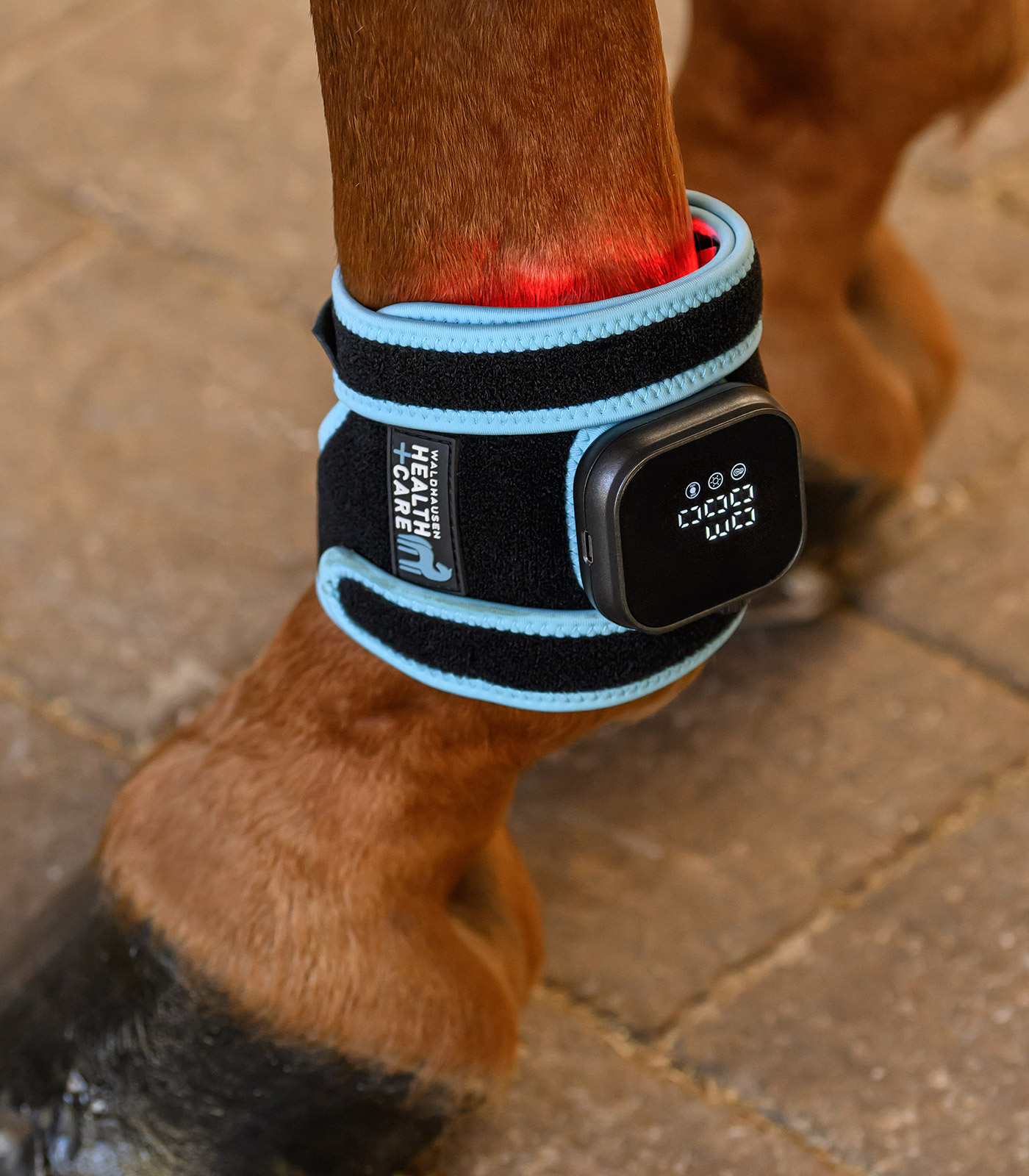 Waldhausen Health + Care Infrared FlexPad 