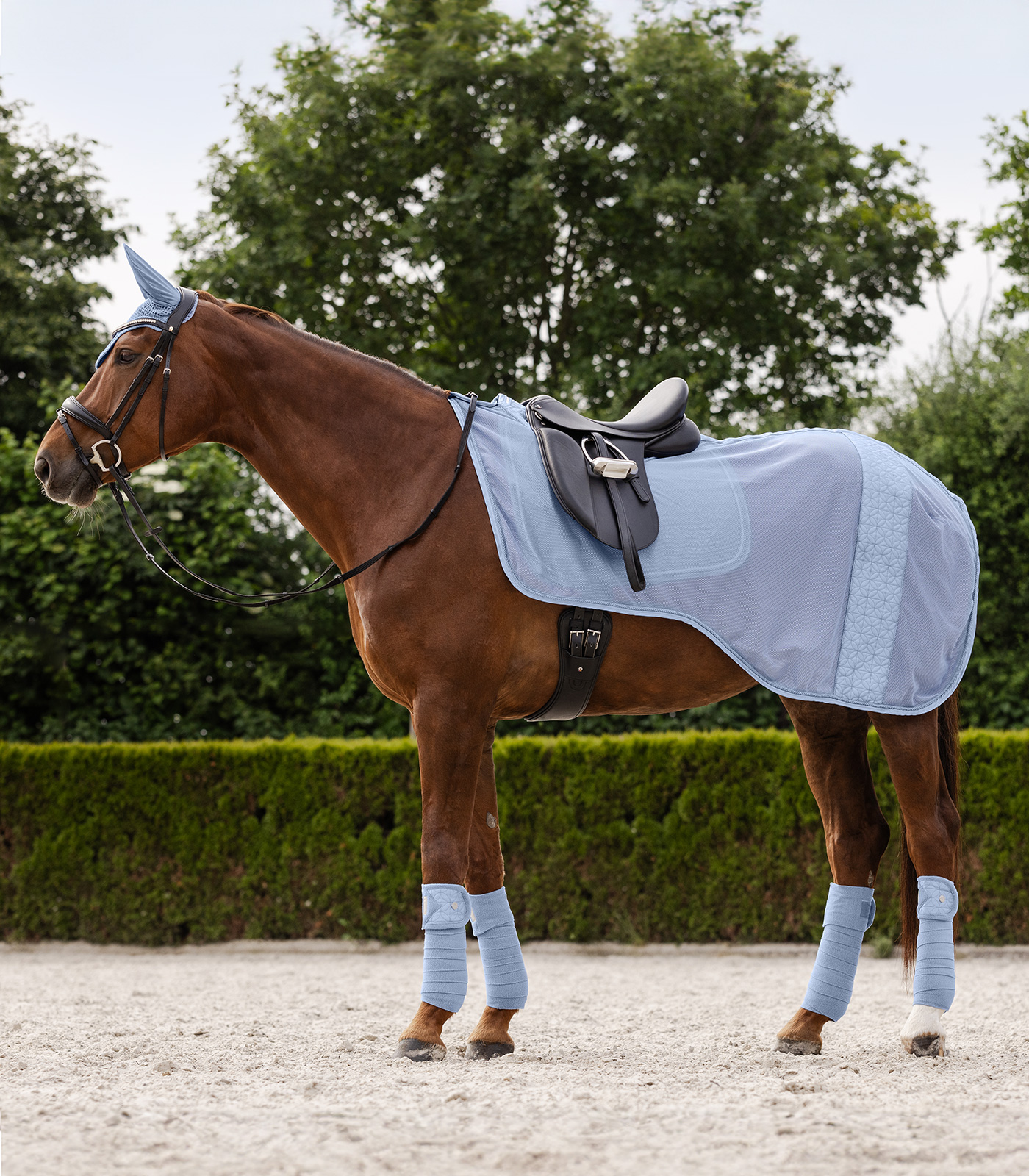 Vendas polares Rom, lote de 4