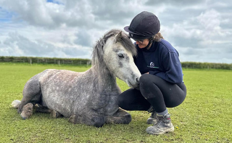 World Horse Welfare – The International Organisation for Sustainable Horse Welfare