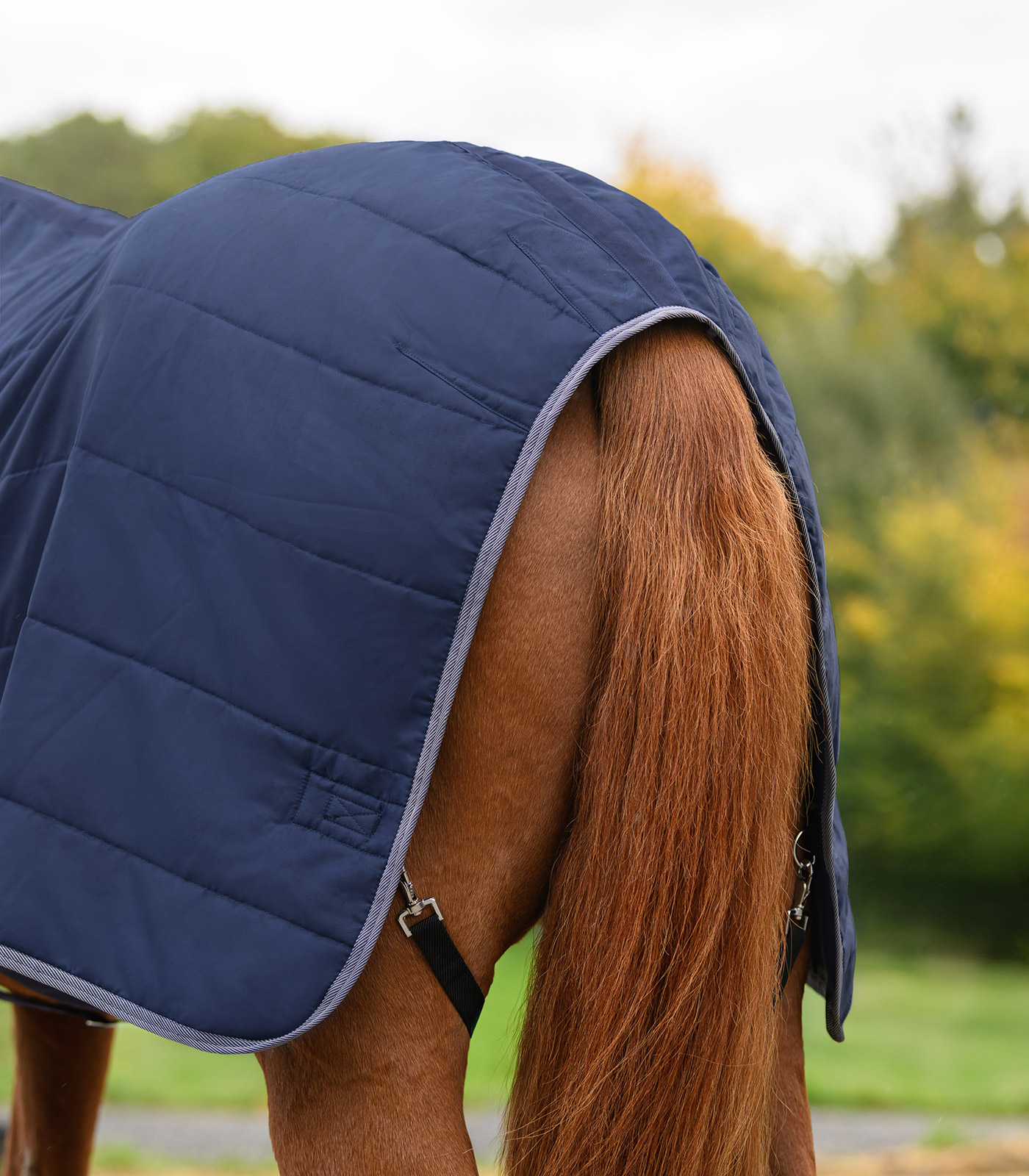 Couverture d'écurie | Kentucky Horsewear Couverture d'écurie | Kentucky Horsewear
