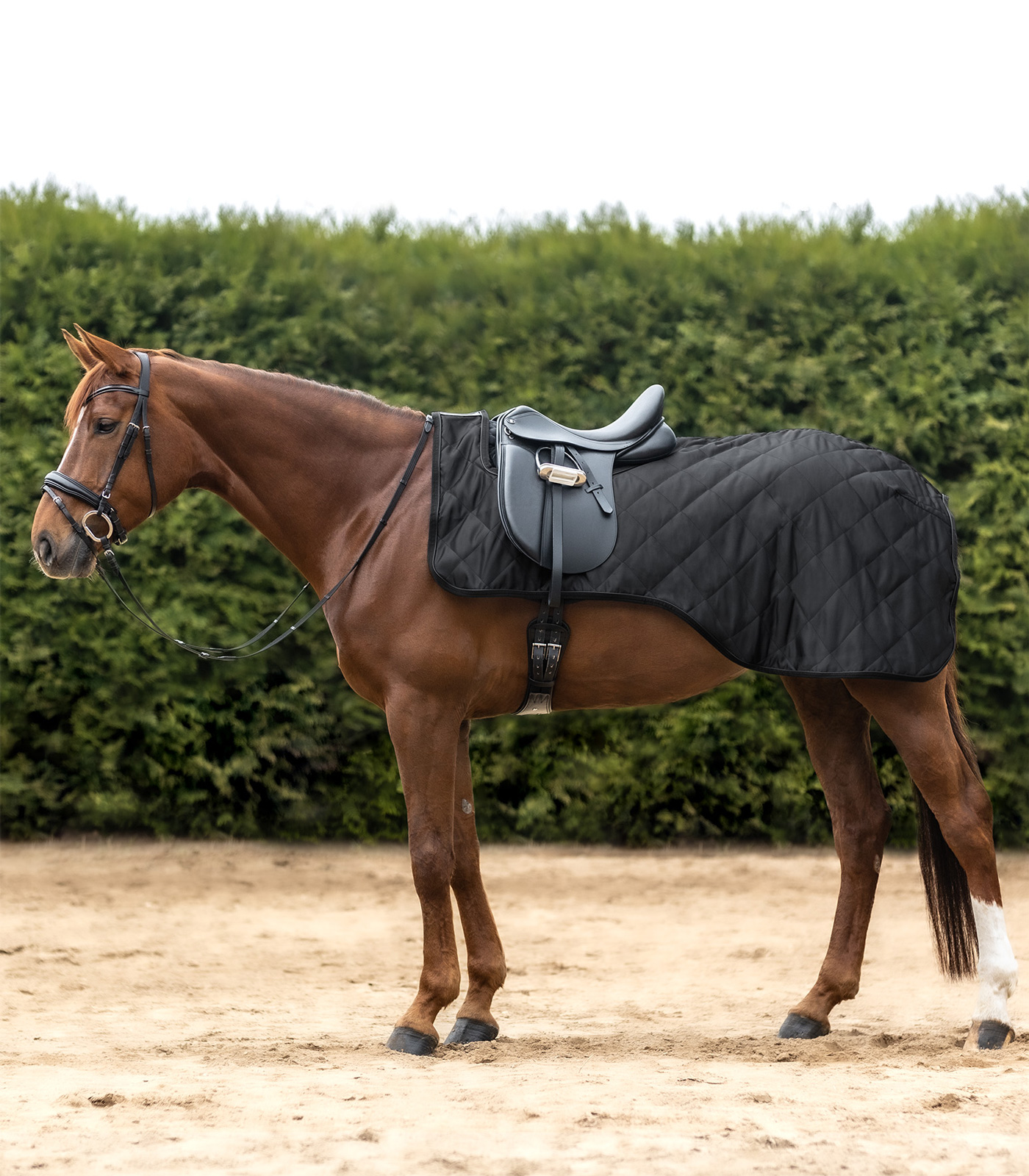 Exclusive Exercise Sheet black