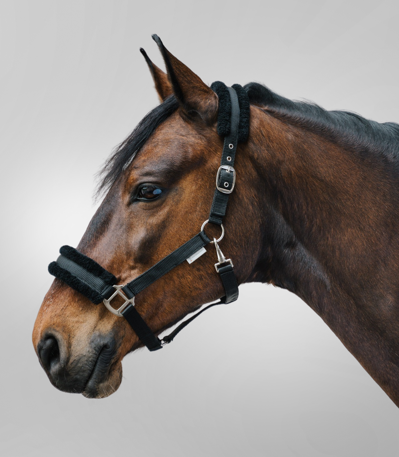 First Halter black