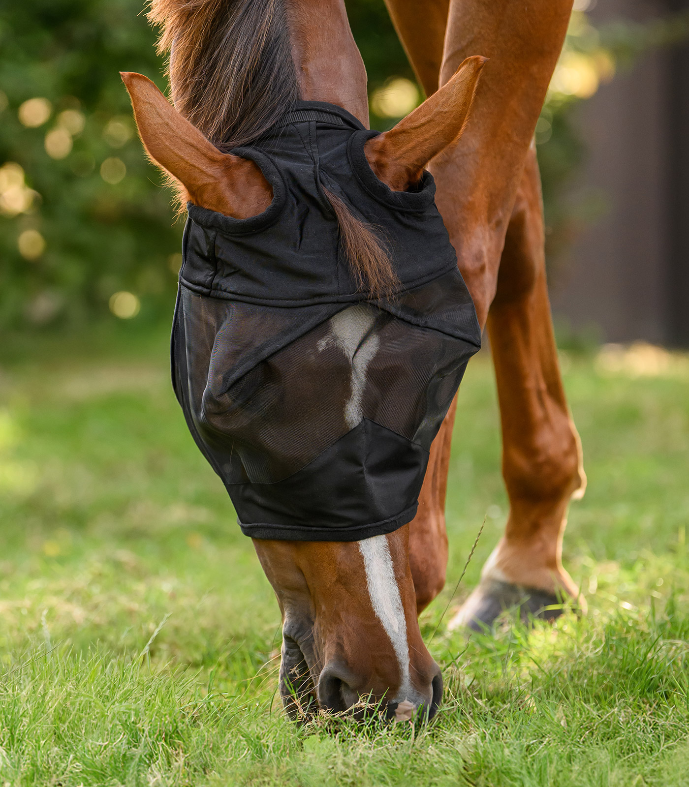 PREMIUM Mosquero sin protección para orejas PREMIUM Mosquero sin protección para orejas