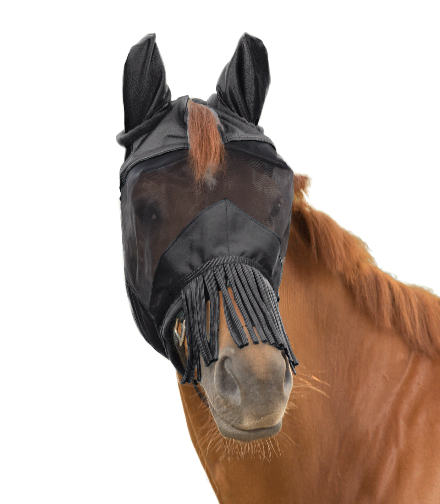 PREMIUM 3-in-1 Fly Mask