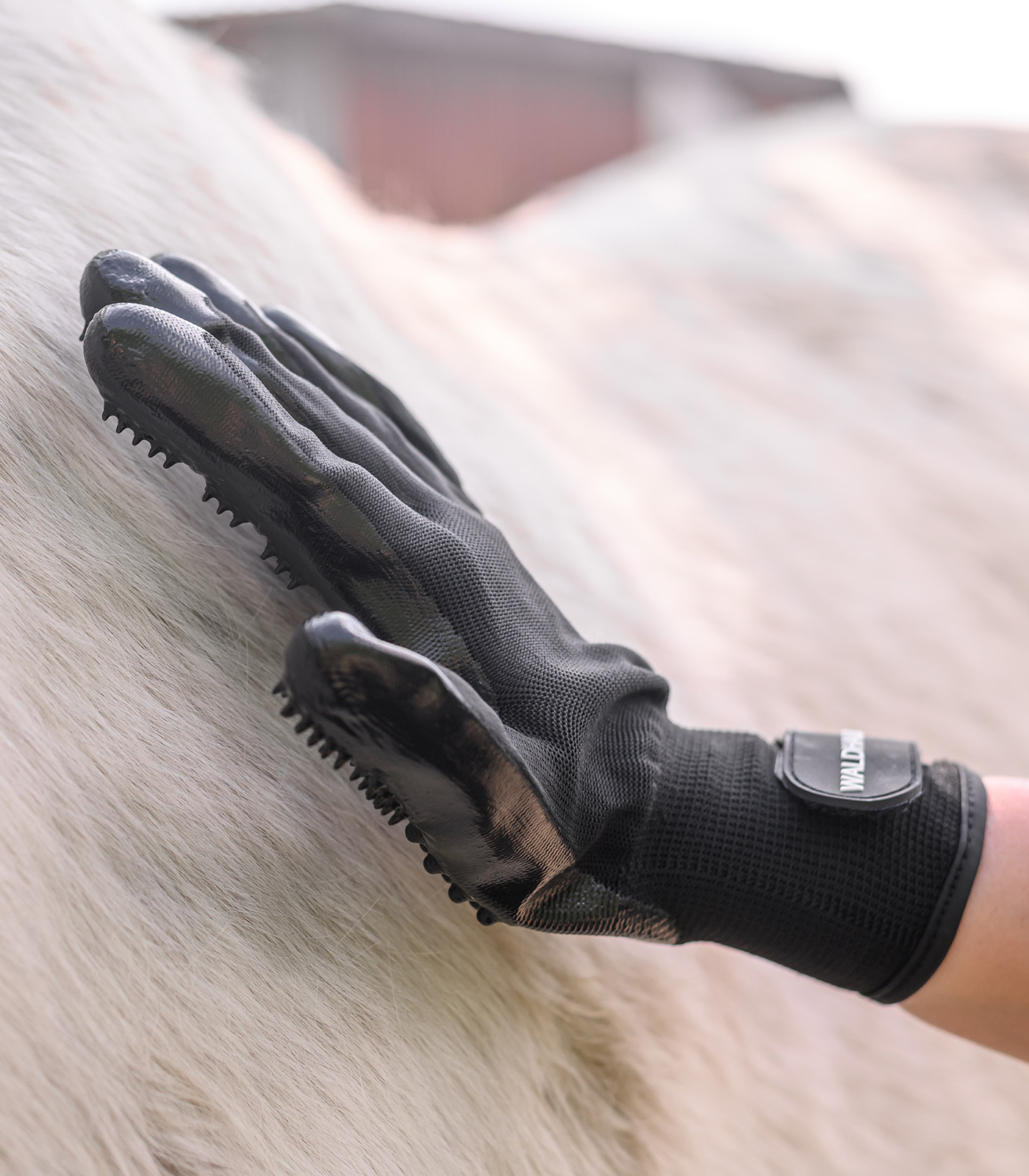 Guanto grooming