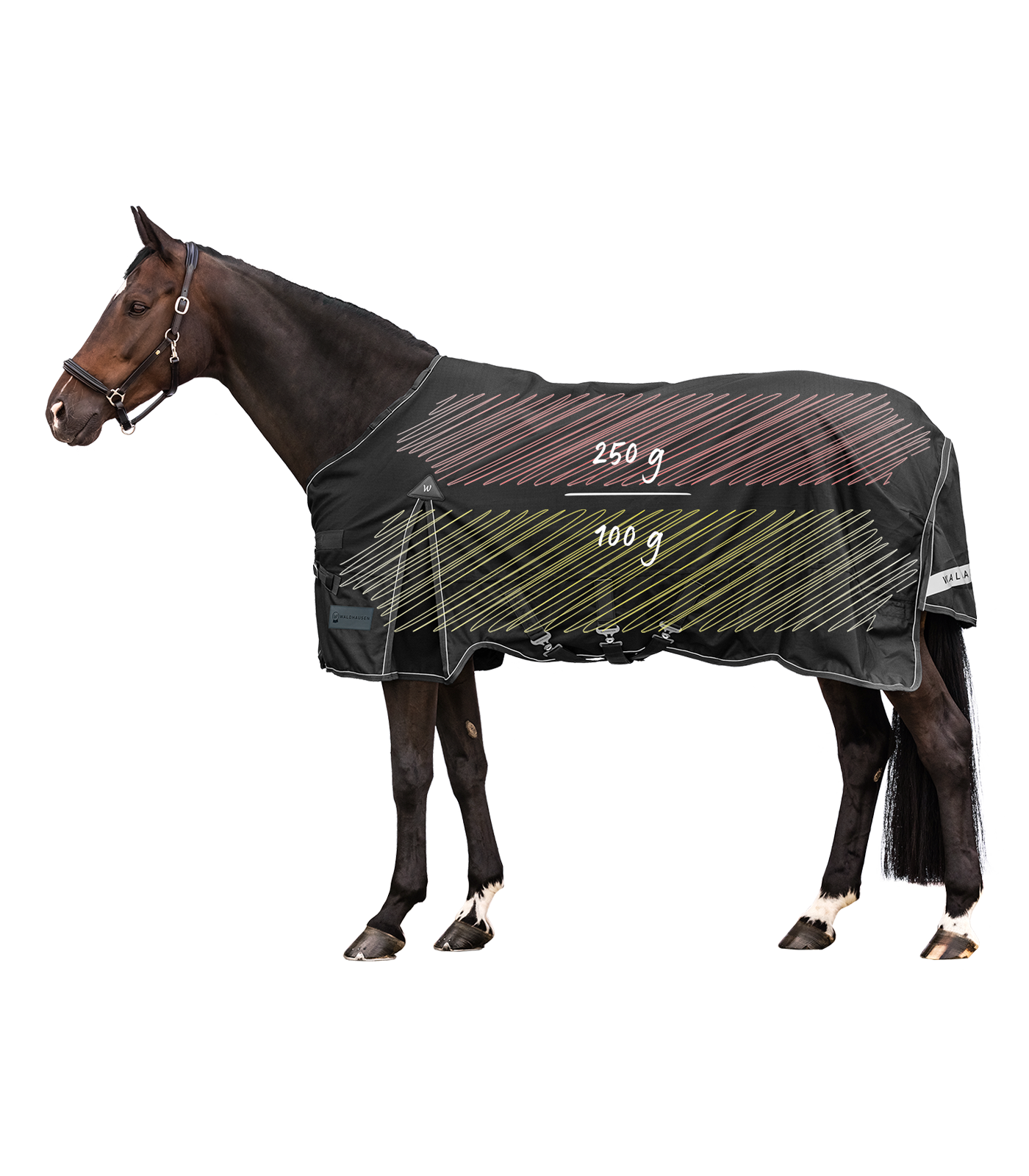 SCANDIC Multi-Layer turnout rug, 250 g / 100 g black