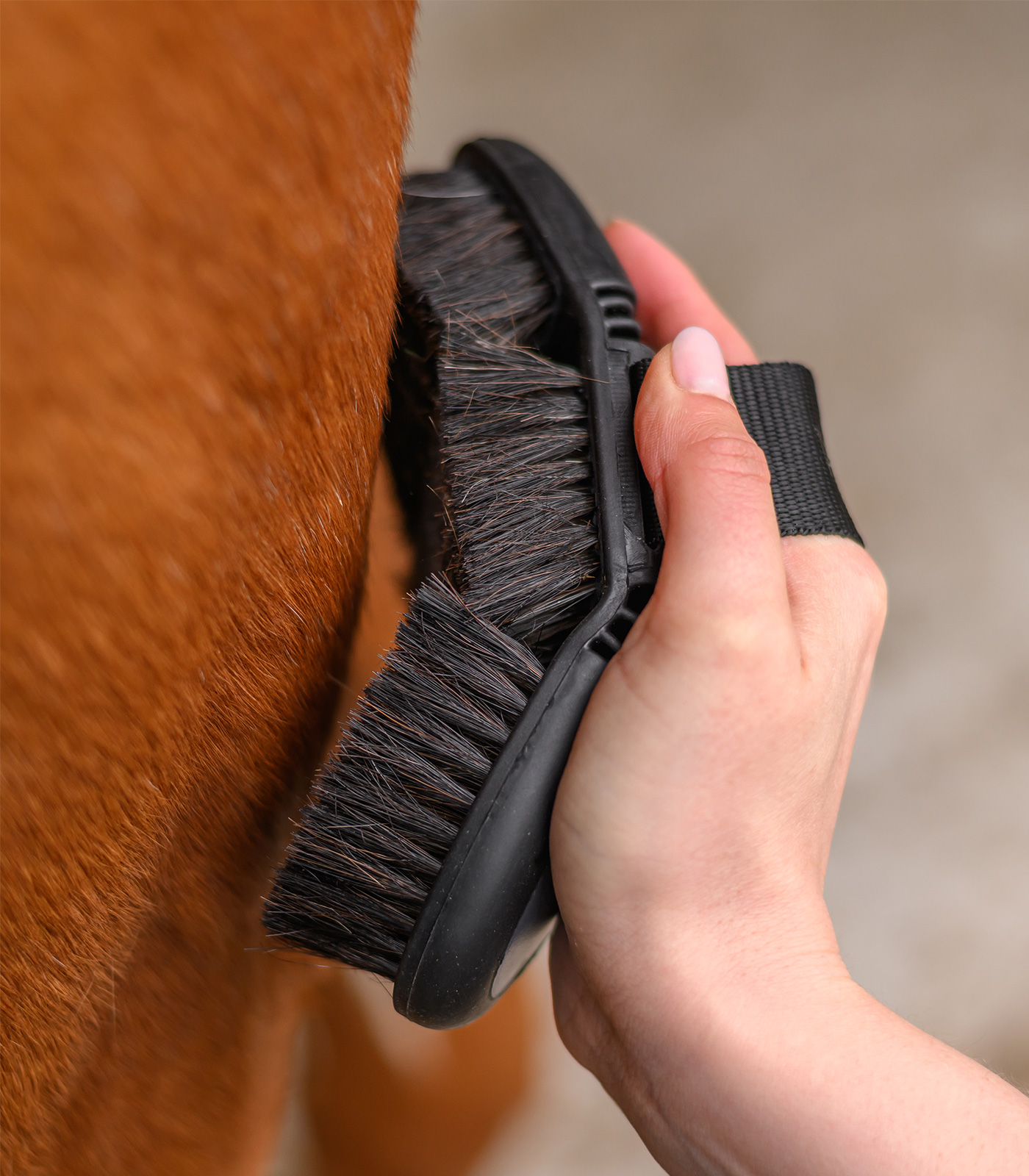 Flex grooming brush, horsehair
