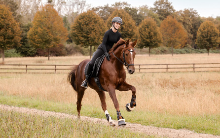 Safety while riding Safety while riding