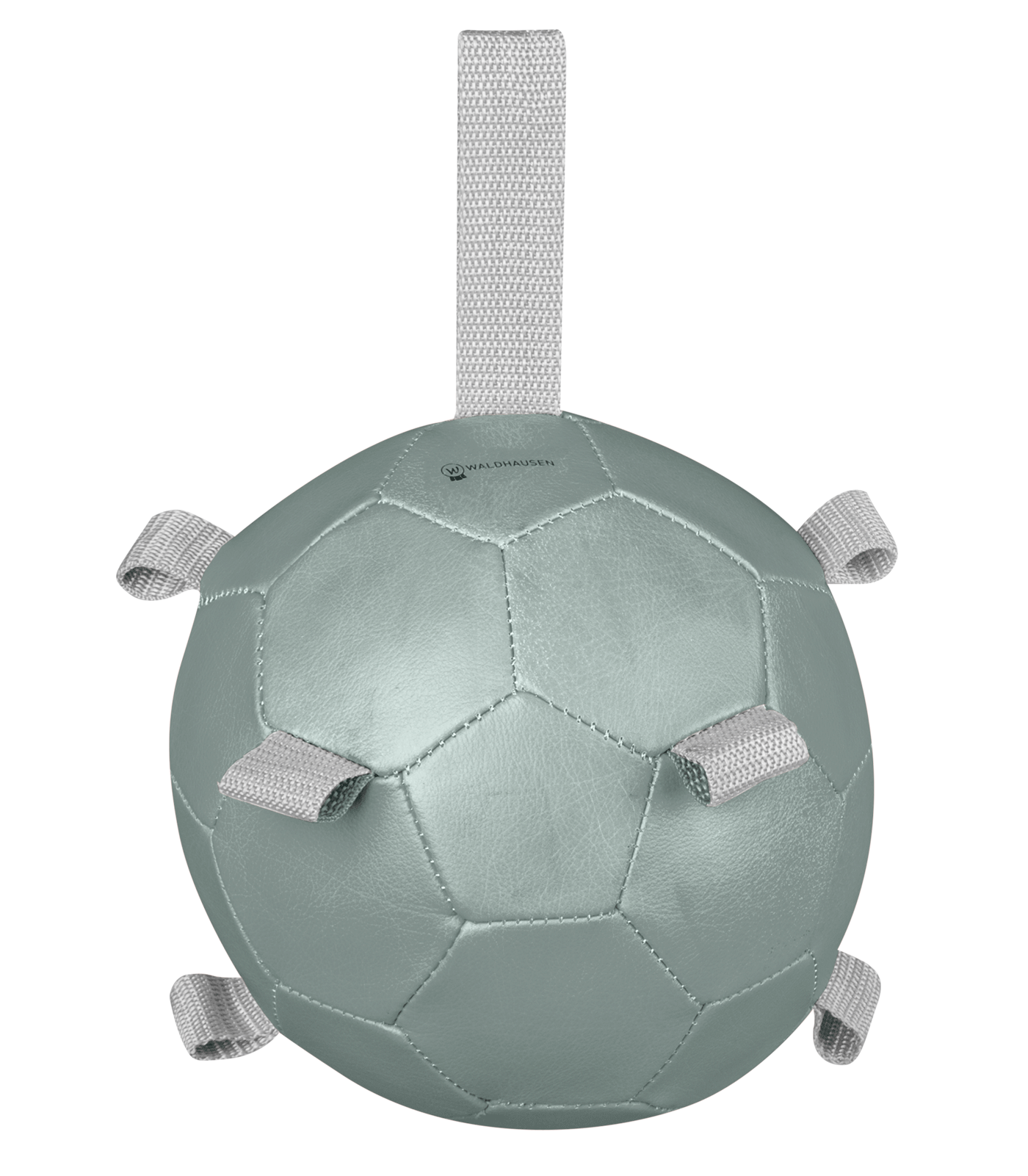 Karottenball mistel
