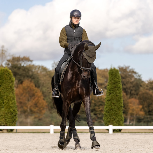 Horsefashion serie St. Gallen