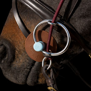 Image alternate text