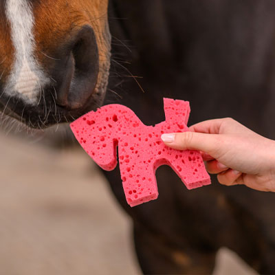 Image alternate text