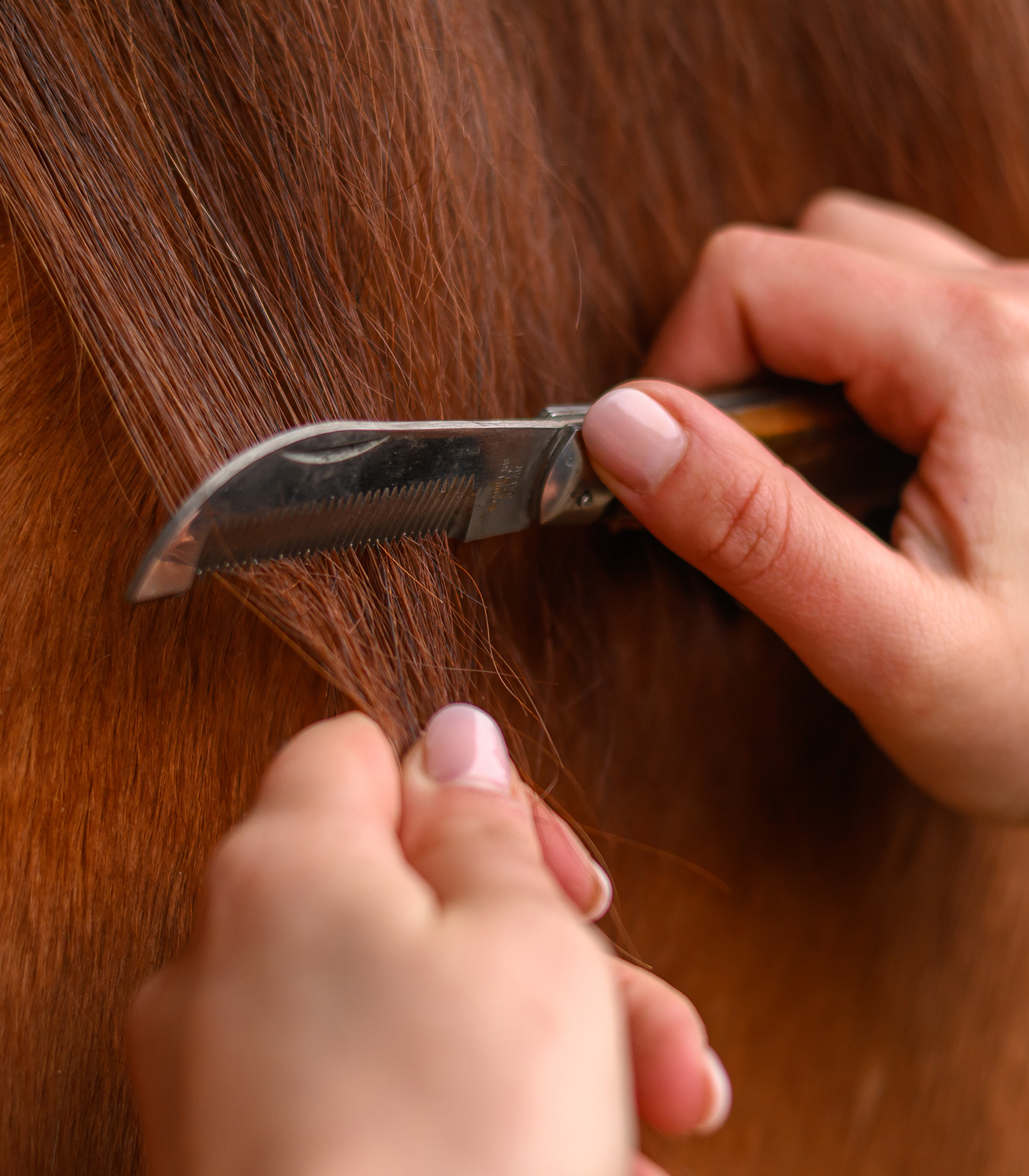 Couteau à crinière pliable